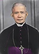 Bishop Alfredo Maria A. Obviar.jpg