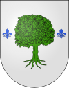 Blason