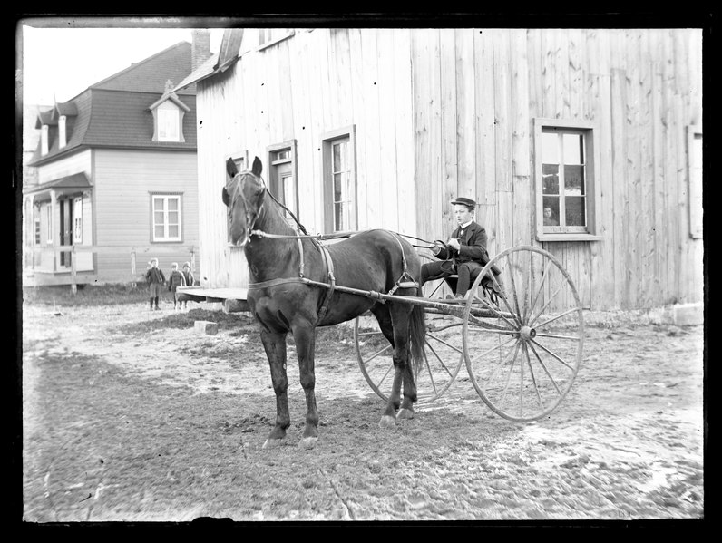 File:Boy driving a horse in a sulky (I0056400).tif