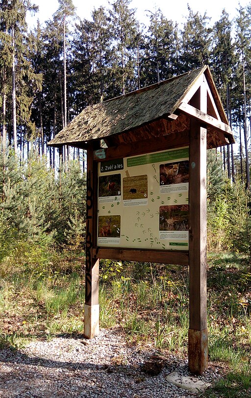 Branišovský les, educational trail (02a)