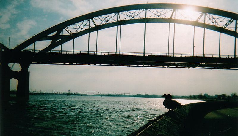 File:Bridge and Ducks.jpg