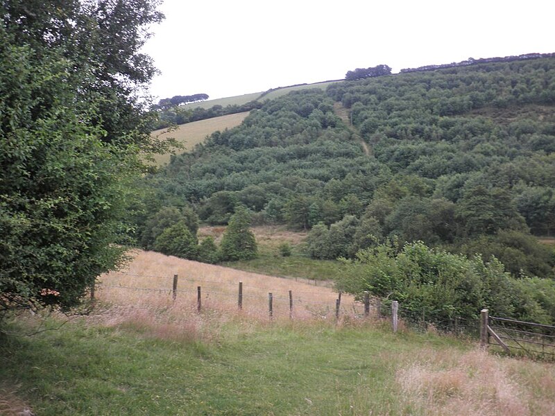 File:Burrow Wood - geograph.org.uk - 3575861.jpg