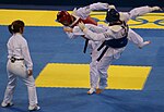 Miniatura para Taekwondo