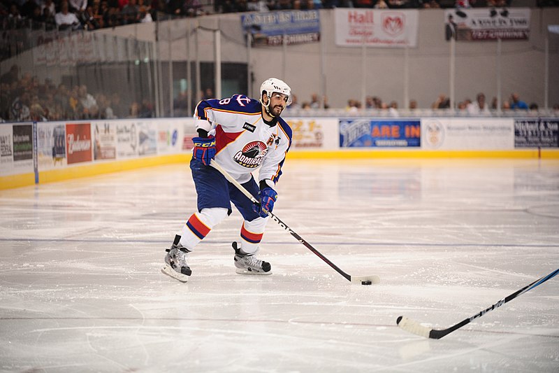 File:Calder Cup Finals Game 1 (7930382192).jpg