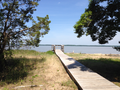 Photo of boardwalk leading to the Potomac River at Caledon State Park, Virginia, USA