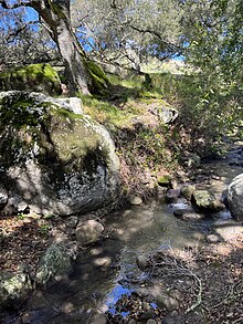 Callahan Creek is a large tributary to Kaiser Creek (March 11th, 2024) Callahan Creek.jpg