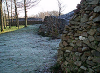 Le camp celtique de Bierre, site archéologique (Orne)