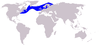 Cetacea range map Atlantic White-sided Dolphin.PNG