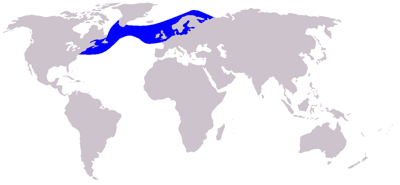 File:Cetacea range map Atlantic White-sided Dolphin.PNG