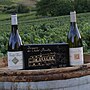 Миниатюра для Domaine du Chalet Pouilly