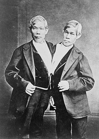 <span class="mw-page-title-main">Chang and Eng Bunker</span> Thai-American conjoined twin brothers