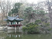 A small colorful wooden pavilion on a pond covered with lotus leaves