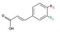 Acido cinnamico generico