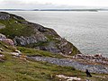 Cliffs, Great Orme's Head - geograph.org.uk - 2428238.jpg