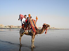 Clifton Beach Karachi.JPG