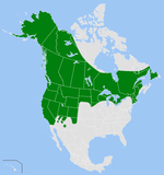 Coenonympha tullia – Verbreitung in Nordamerika