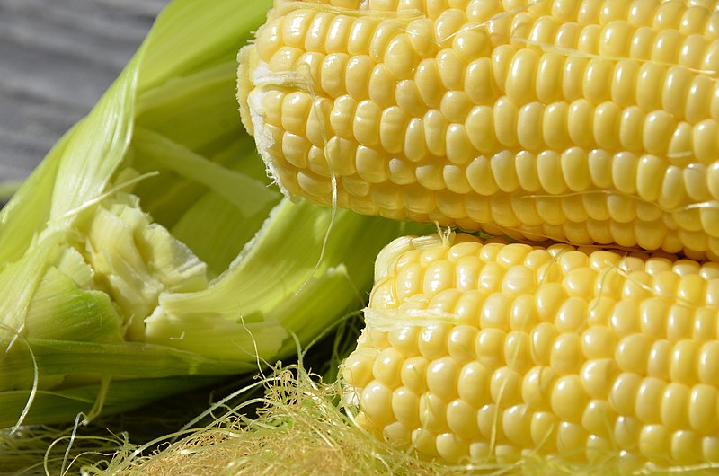 File:Corn On The Cobb From The Garden (120856899).jpeg