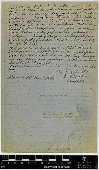 File:Correspondence - Braun (Alexander) and Engelmann (George) (Apr 15, 1866 (2) verso) BHL42415223.jpg