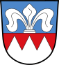 Wapen van Kirchheim