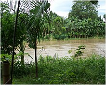 Der Davao-Fluss in Davao City