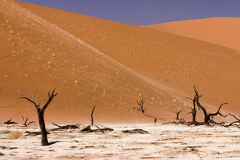File:Dead Vlei Sossusvlei Namib Desert Namibia Luca Galuzzi 2004.JPG