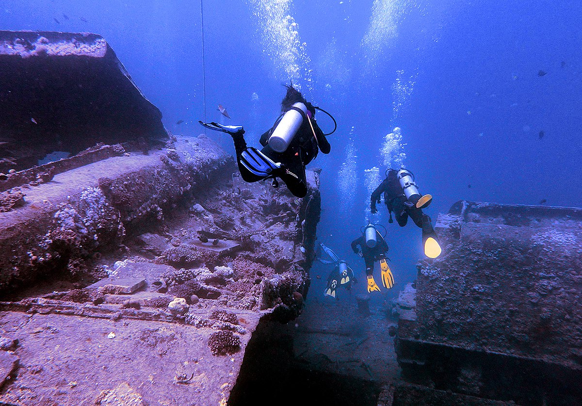 Aletas (buceo) - Wikipedia, la enciclopedia libre