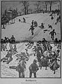Die Gartenlaube (1888) b 072.jpg Rutschpartie (D)