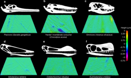 Dietary guilds of modern reptiles based on dental microwear texture (above), and pterosaur dental microwear (d is Istiodactylus)