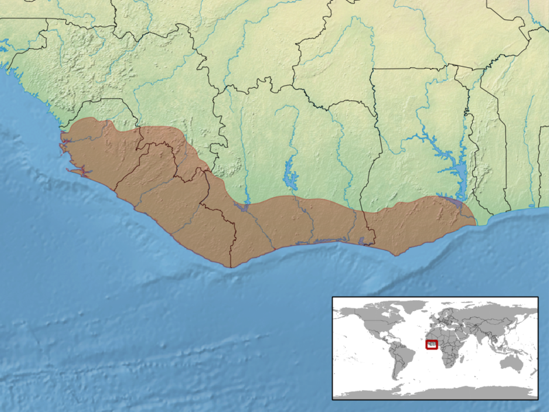 File:Dipsadoboa brevirostris distribution.png