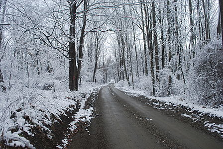 A rural dirt road the day after the first snowfall of the season in Dutchess County, New York, USA.