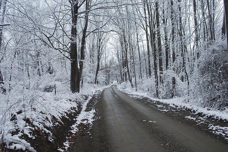 File:Dirt road in winter.JPG