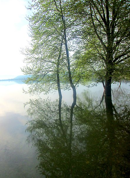 File:Dojran Lake 129.JPG