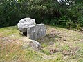 Plobannalec-Lesconil : le premier dolmen de Kervadol 2