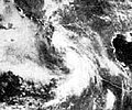 Thumbnail for Hurricane Doreen (1977)