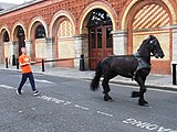 Fruit market at Smithfield, Dublin, Ireland. A horse.