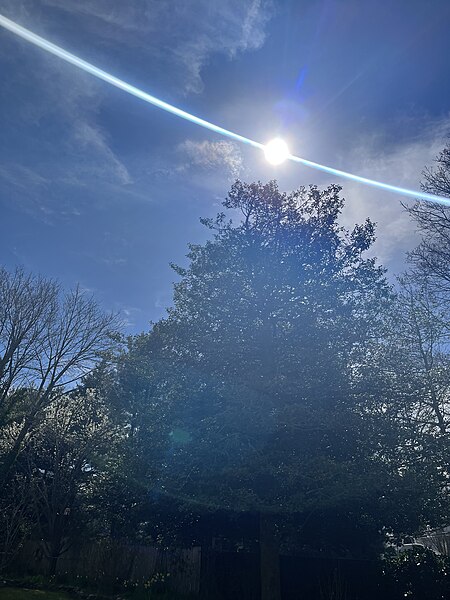 File:Eclipse 2024 from Islip, NY (53640936741).jpg