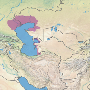 Ecoregion territory (in purple)