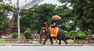 Elefante con turistas.