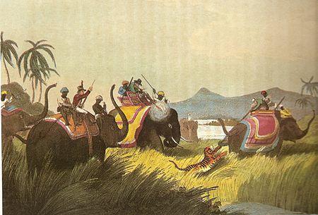 Tập_tin:ElephantbackTigerHunt.jpg