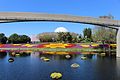 Vibrant flowers and monorail line