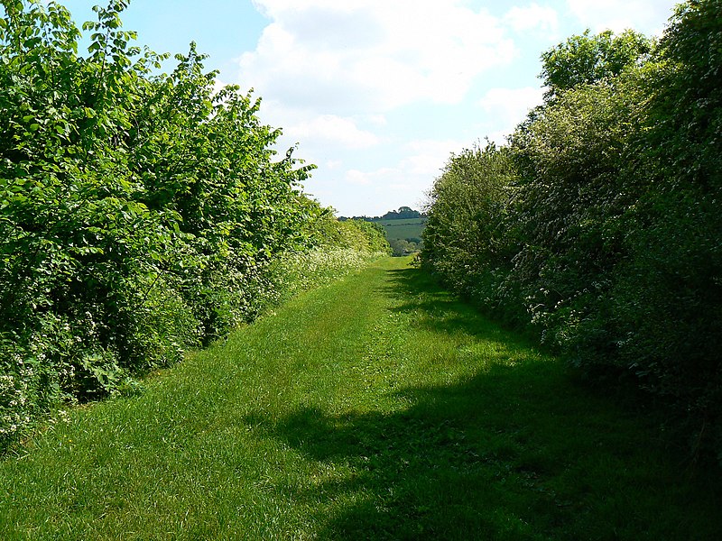 File:Even further down the bridleway from Clifton Road, Clifton - geograph.org.uk - 1892941.jpg