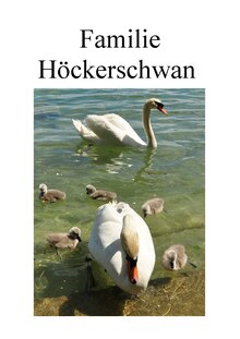 Familie Höckerschwan.pdf