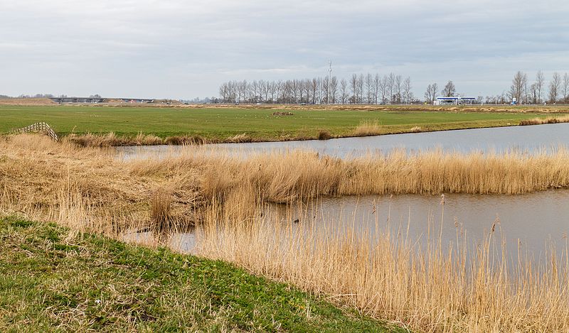 File:Fammensrakken Mûzekamp, Boornzwaag 10.jpg