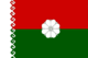 Flag of Paranginsky rayon (Mariy-El).png