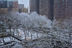 North Park surrounded by (clockwise from top left) The Manor, Prospect Tower, Tudor Grove Playground, and Mary O'Connor Playground (the two city-owned parks) Fluffy Snow In Tudor City.jpg