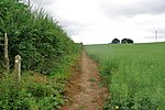 Thumbnail for File:Footpath gently uphill - geograph.org.uk - 5759972.jpg
