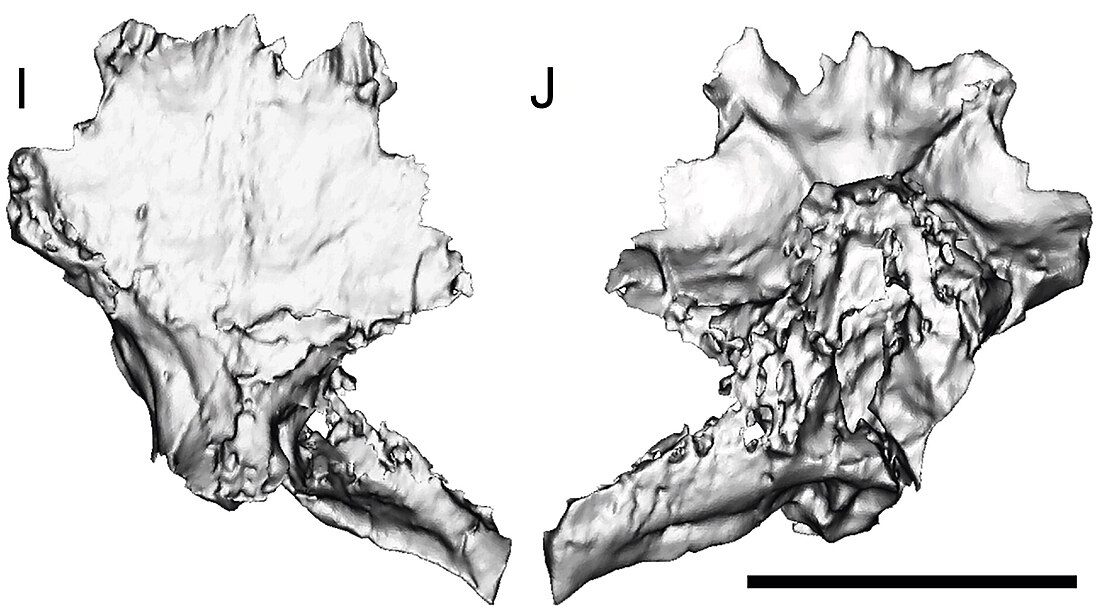 Fostoria (dinosaure)