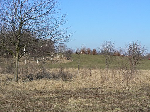 Fowemer Hill - geograph.org.uk - 1745597