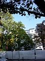 Frankfurt-Bockenheim Wohnung mit Blick auf Rohmerplatz