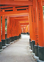Cổng torii đỏ nằm trong một con đường trong đền Fushimi Inari ở Fushimi, Kyoto.